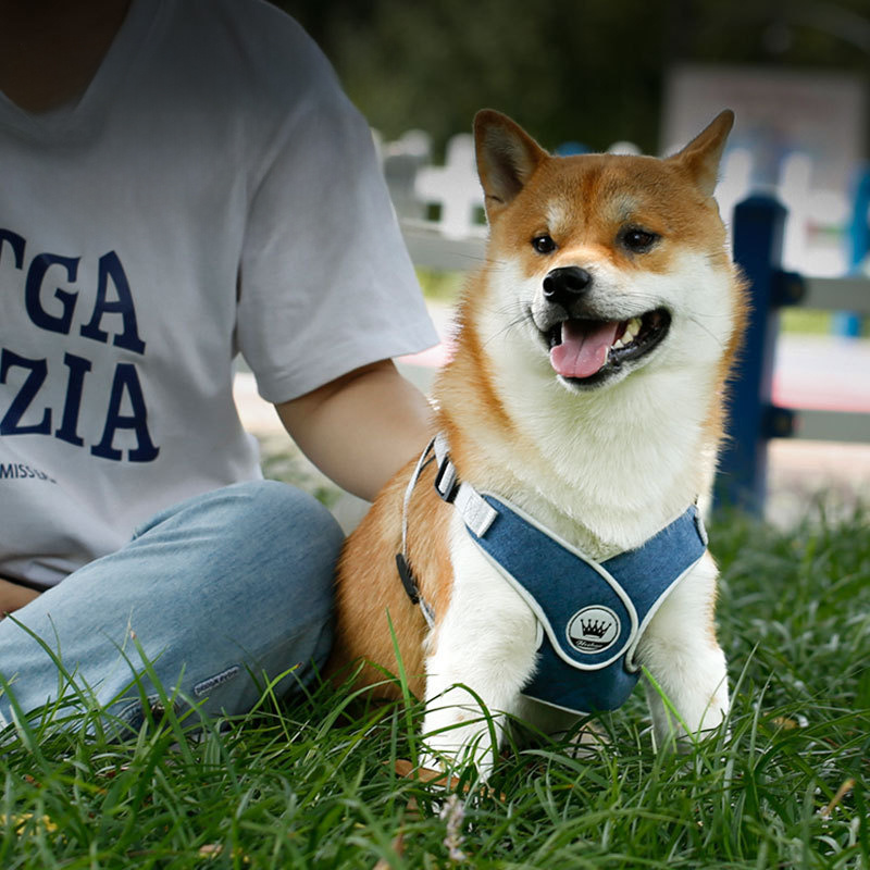Dog Harness Adjustable Pet Harness Vest For Small Large Dog Cat Reflective Mesh Puppy Cat Chest Strap Dog Accessories - Image 9