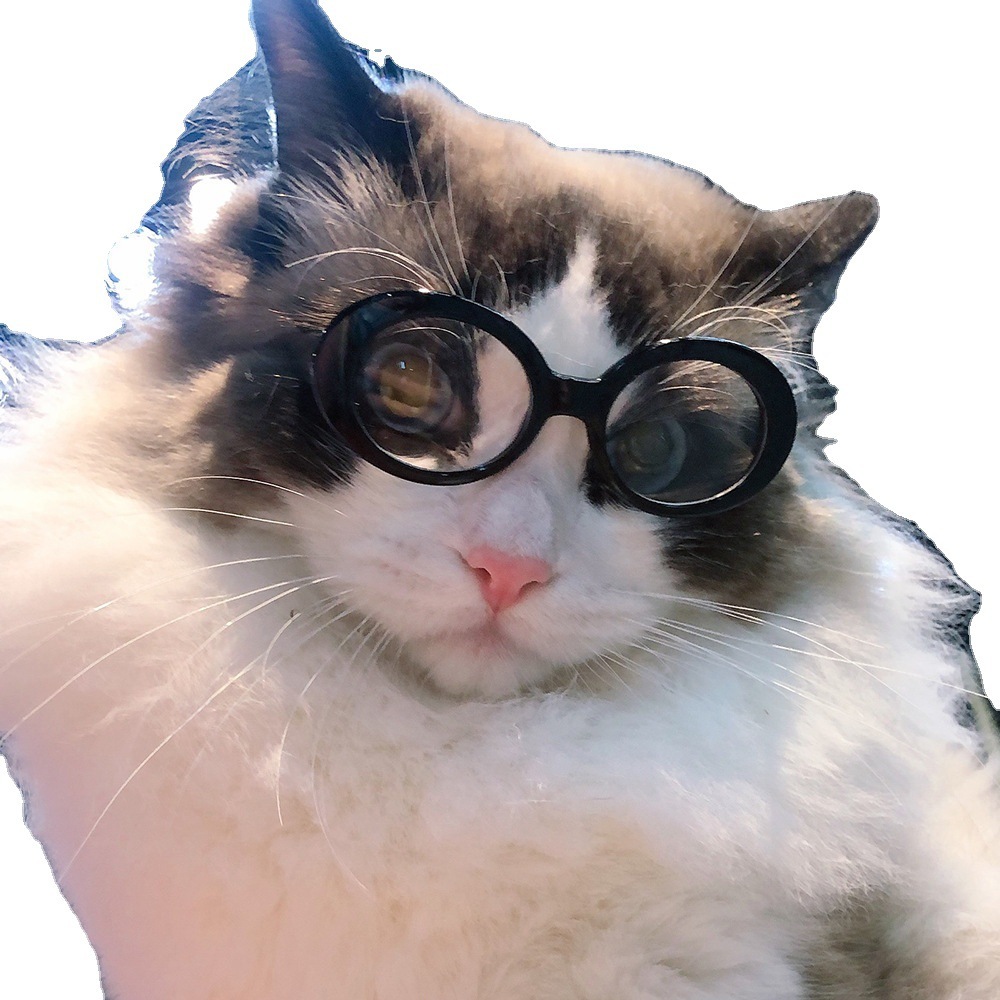 Pet Dog Cat Multi-color Sunglasses Cool Handsome Accessories - Image 10