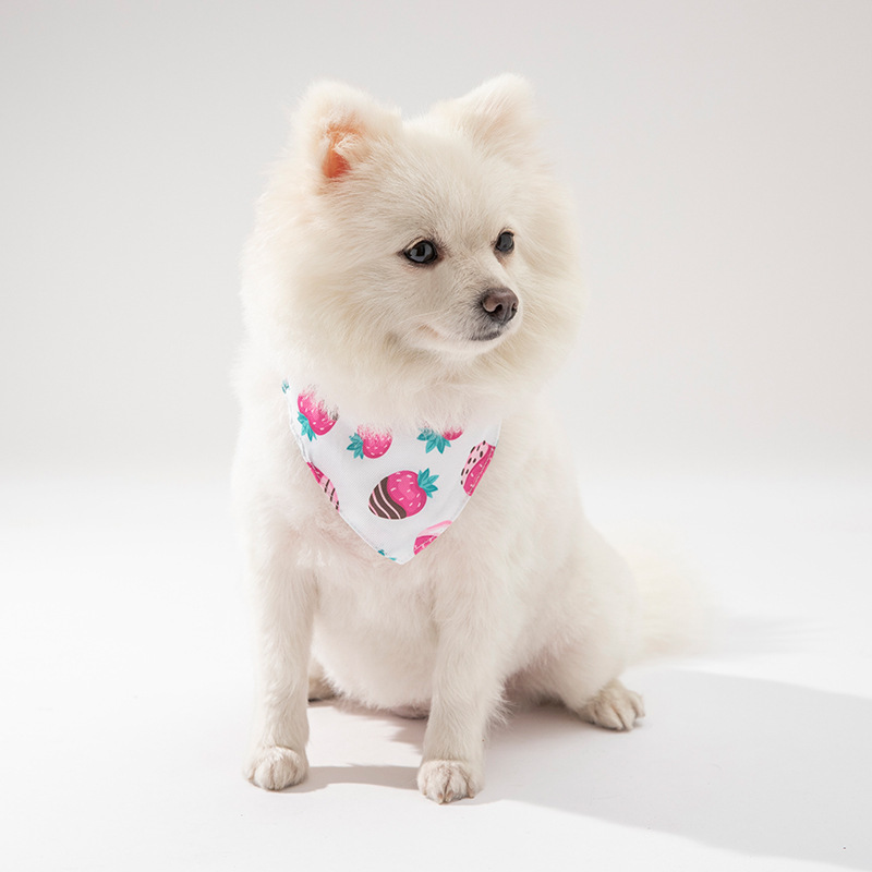 Dog Clothing Accessories - Image 3