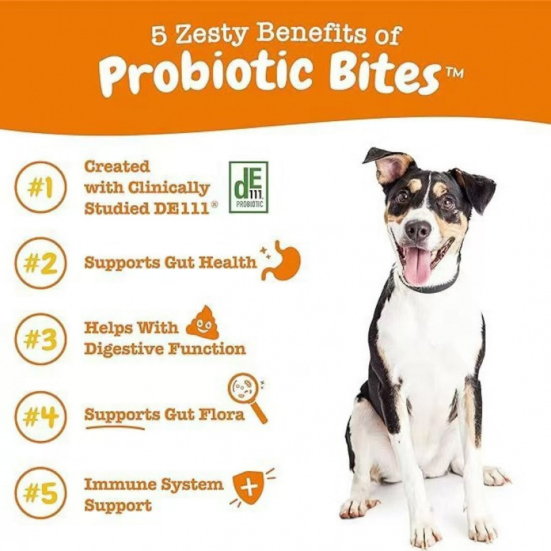 315g Probiotic Chewable Tablets Dog Food Cat Food Intestinal Health - Image 5