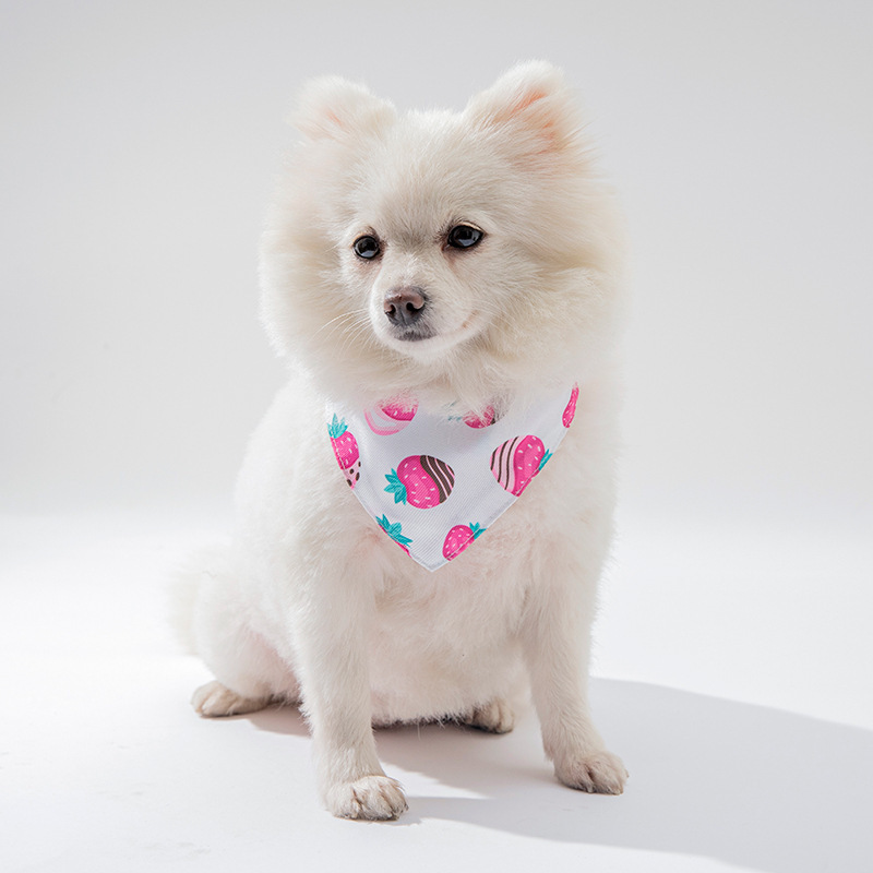 Dog Clothing Accessories - Image 5