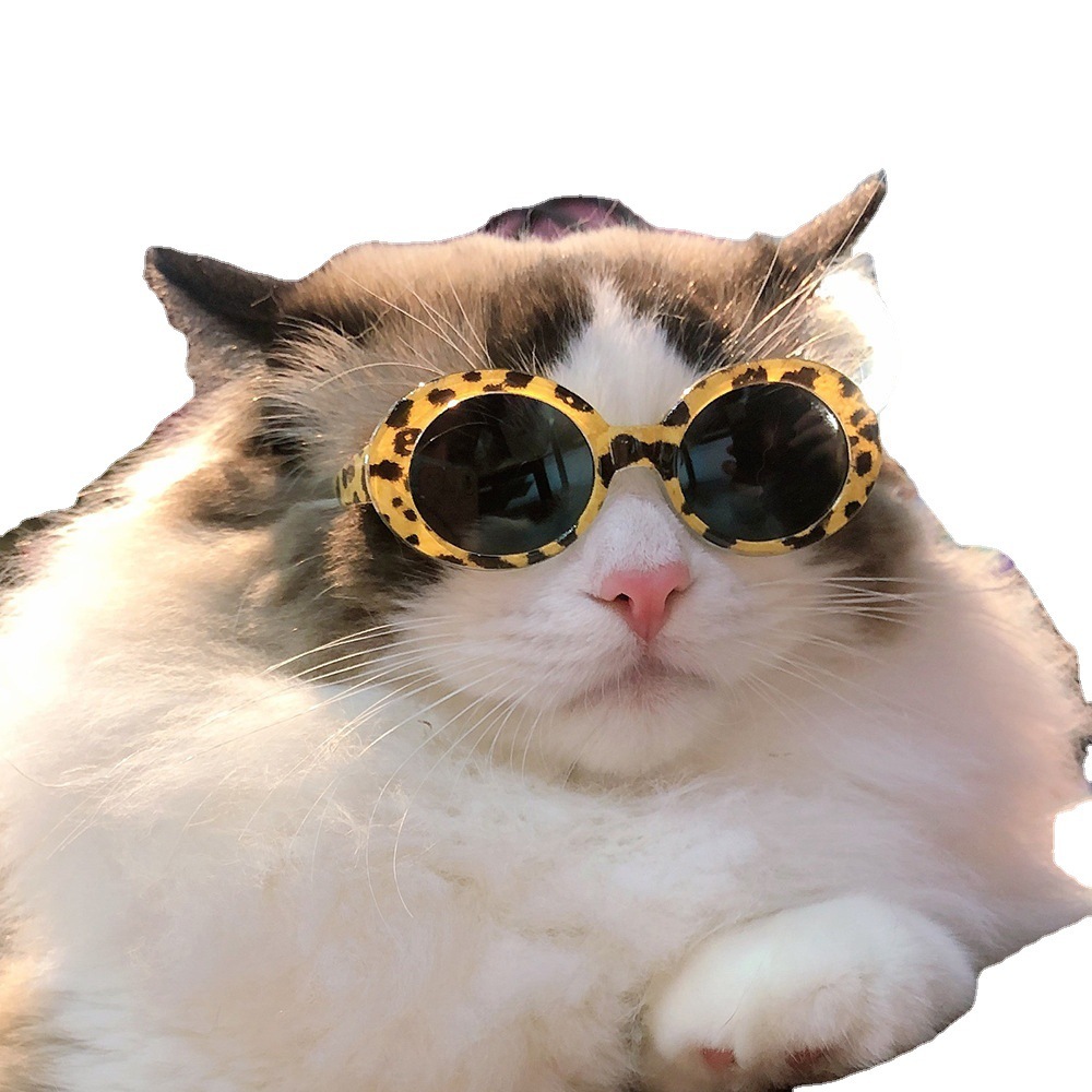 Pet Dog Cat Multi-color Sunglasses Cool Handsome Accessories - Image 9