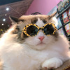 Pet Dog Cat Multi-color Sunglasses Cool Handsome Accessories - Image 7