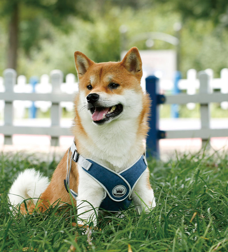 Dog Harness Adjustable Pet Harness Vest For Small Large Dog Cat Reflective Mesh Puppy Cat Chest Strap Dog Accessories - Image 5
